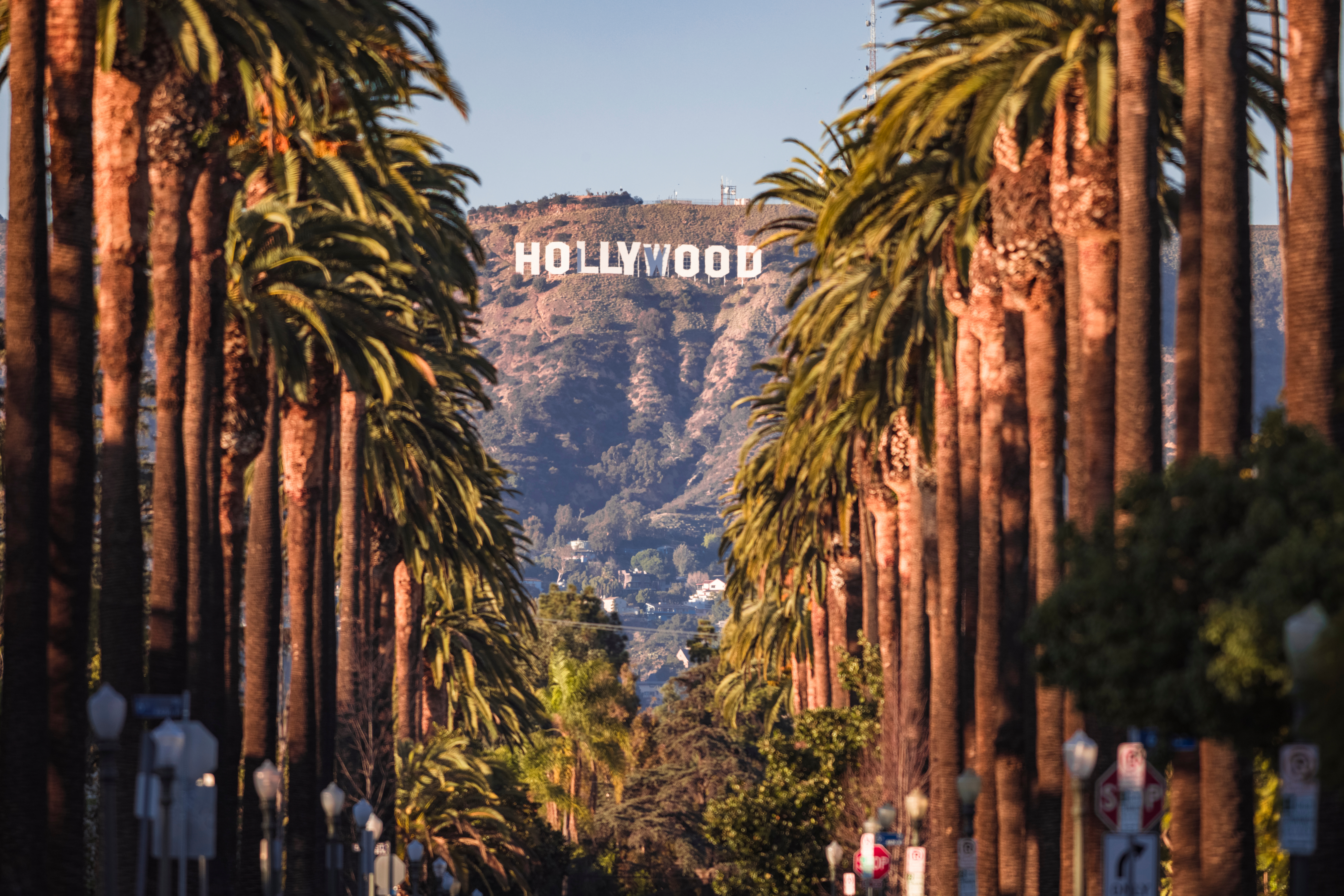 Palm-lined Los Angeles street framing the Hollywood sign at golden hour.