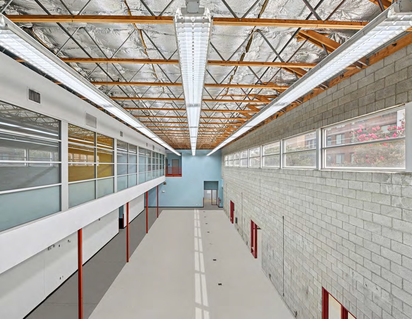 A long, open, column-light floor plate at Selma House with exposed steel roof structure and clerestory windows